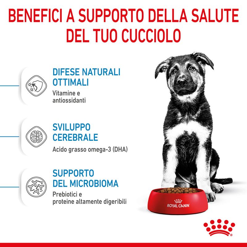 Royal Canin Maxi Puppy 15kg - Crocchette per Cani Royal Canin Maxi Puppy 15kg - Crocchette per Cani